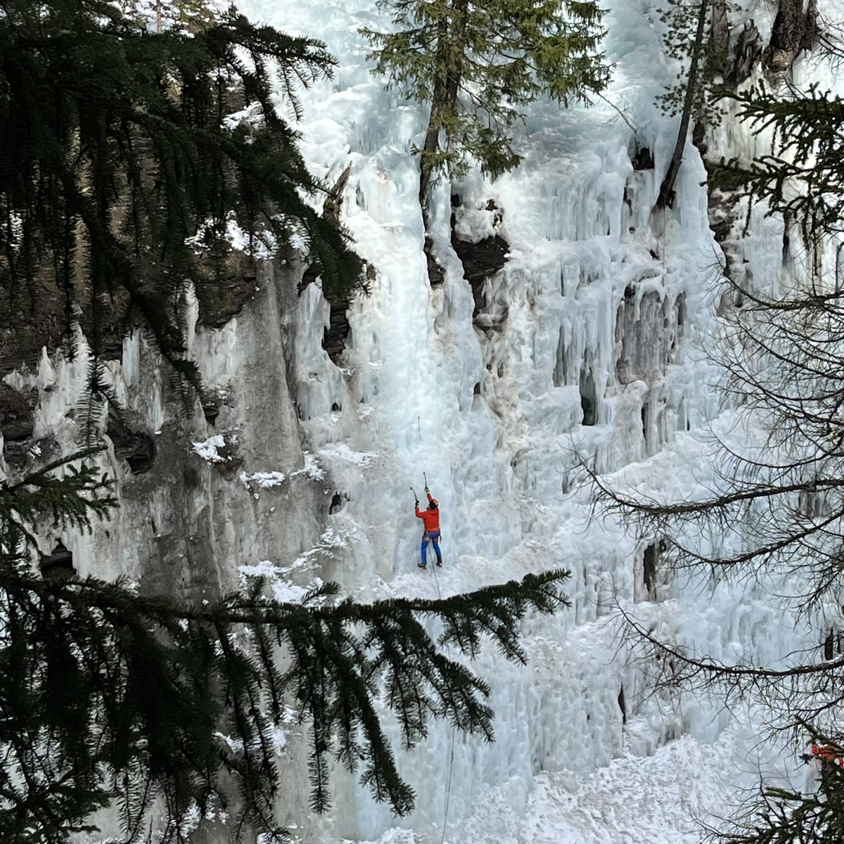 mmoret2's tweet photo. #cogne #vallée #aoste https://t.co/0TVyUlOBdz