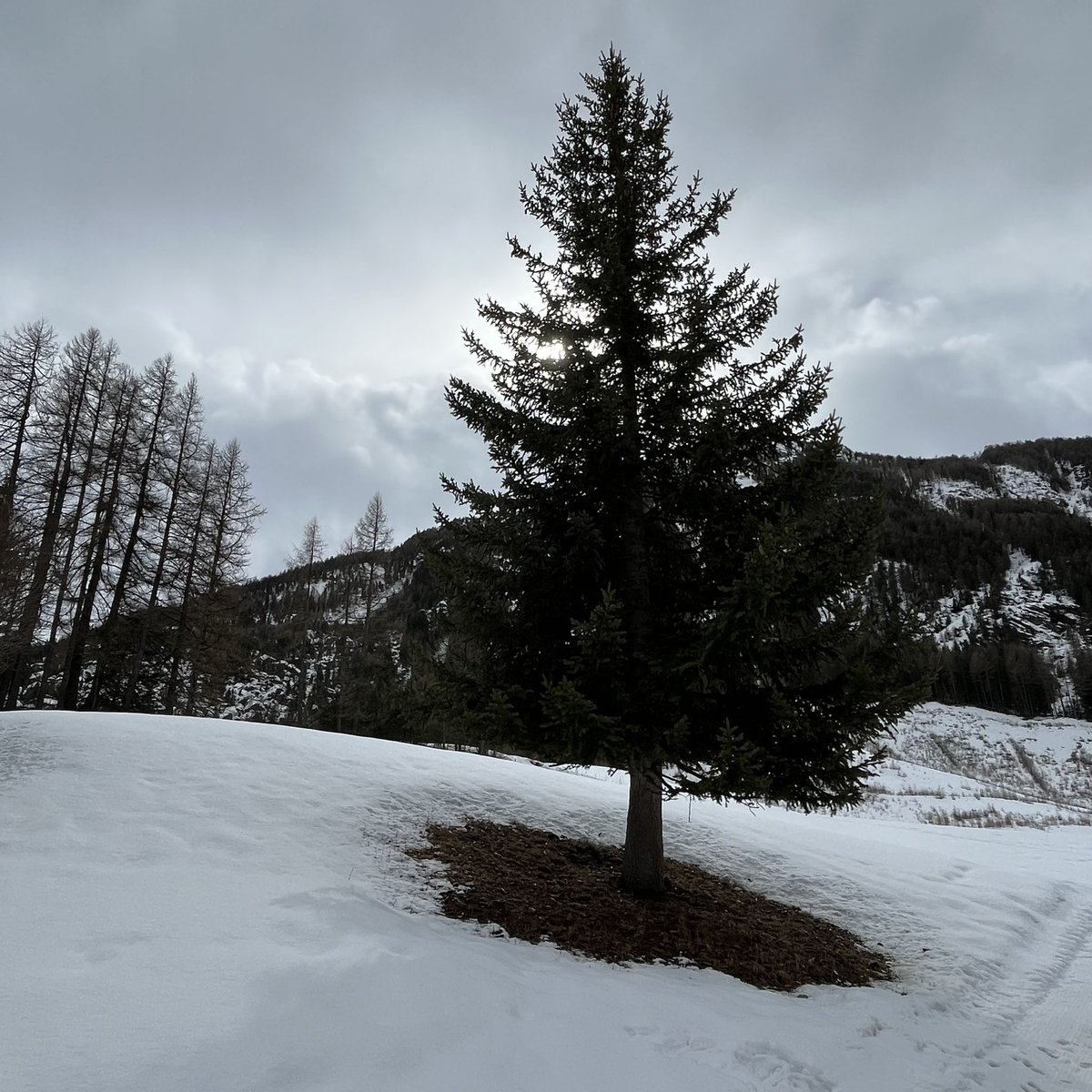 mmoret2's tweet photo. #cogne #vallée #aoste https://t.co/0TVyUlOBdz