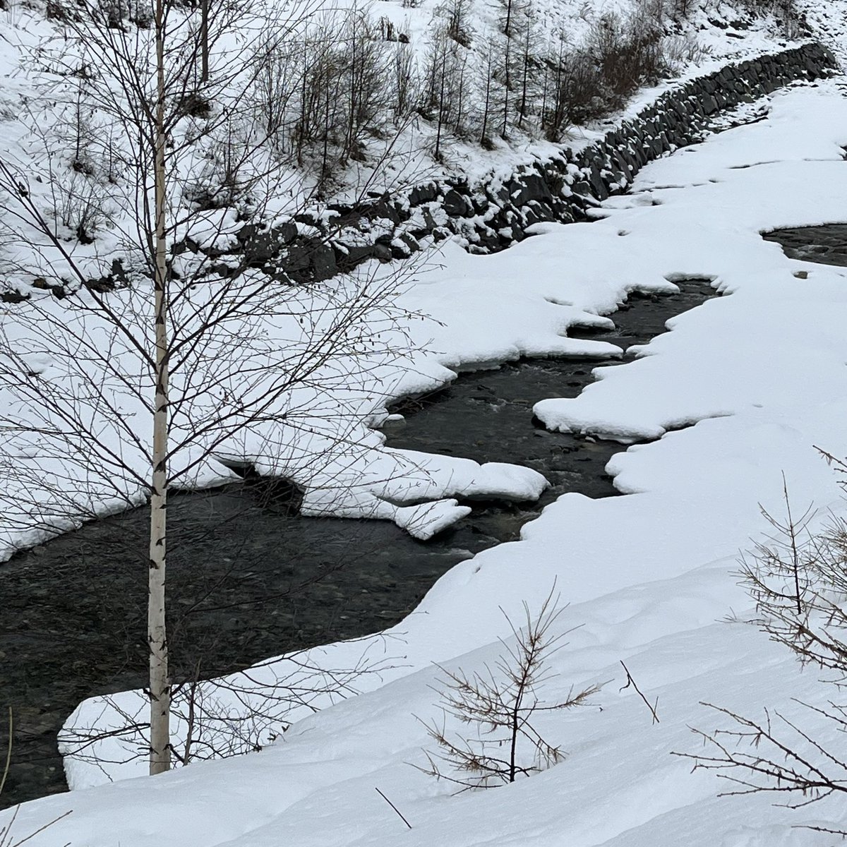 mmoret2's tweet photo. #cogne #vallée #aoste https://t.co/0TVyUlOBdz