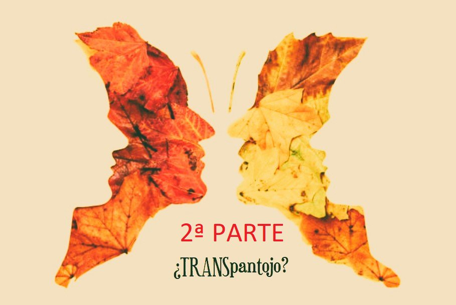 2º programa de debate sobre ley trans, en esta ocasión para analizar cómo afecta a niños y niñas del segmento infanto-juvenil y a sus familias el fenómeno trans y una cuestión que nos parece ineludible: los posibles intereses de la industria farmacéutica 
podcasters.ivoox.com/#/episodes/104…