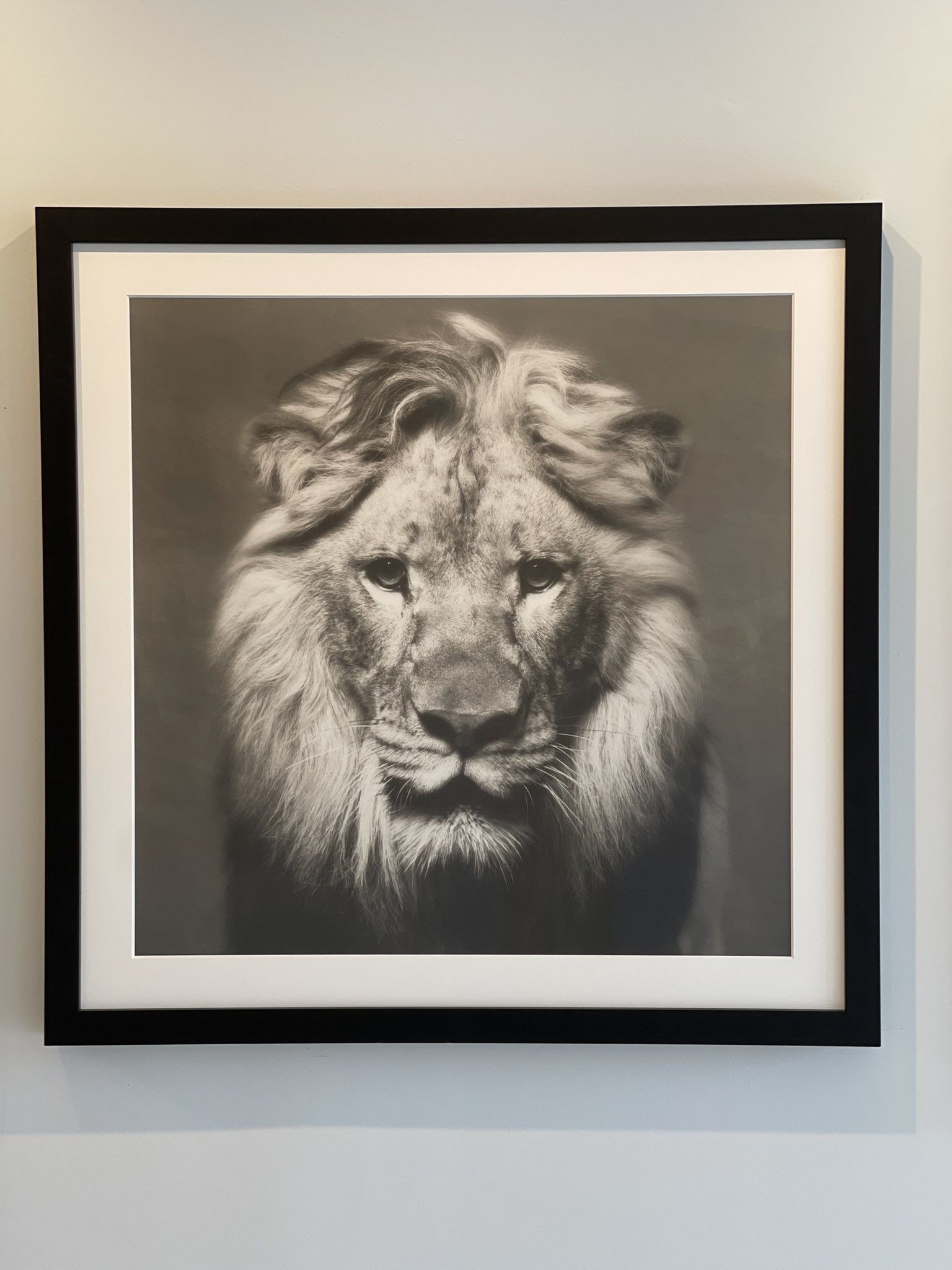 Tyler Shields (@tylershields) / Twitter