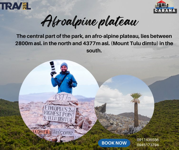 Travel_251's tweet photo. 𝐑𝐢𝐟𝐭 𝐯𝐚𝐥𝐥𝐞𝐲 𝐭𝐨 𝐁𝐚𝐥𝐞 𝐌𝐨𝐮𝐧𝐭𝐚𝐢𝐧𝐬 𝐍𝐚𝐭𝐢𝐨𝐧𝐚𝐥 𝐏𝐚𝐫𝐤
Experiencing the spectacular scenery, biodiversity, endemism, and wilderness of the Bale Mountains National Park is a once-in-a-lifetime experience!
Call:- 0911435556
          0945173794 https://t.co/2h4JSLlLZt