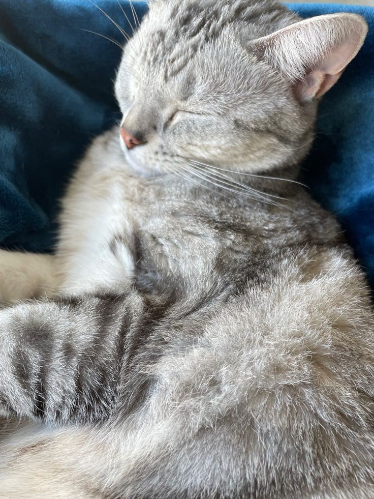 seoronight's tweet photo. baby aeji appreciation post https://t.co/I6QMnxiObV