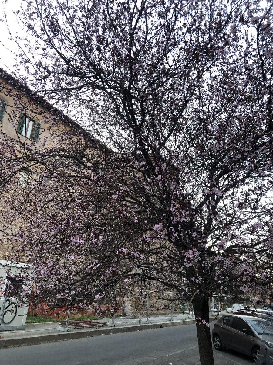 Lotte Groth Jensen tweet media