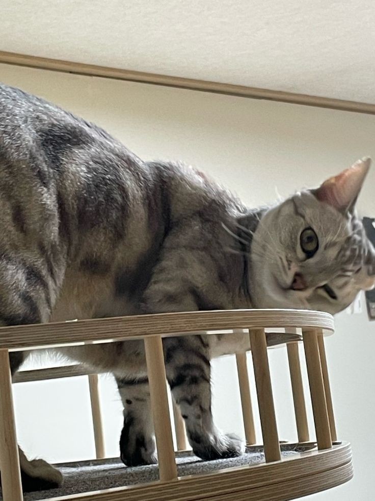 seoronight's tweet photo. baby aeji appreciation post https://t.co/I6QMnxiObV
