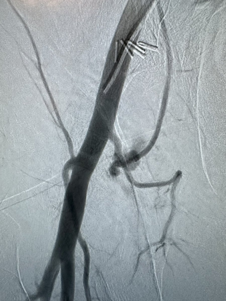 Aaron DuCoffe, MD tweet media