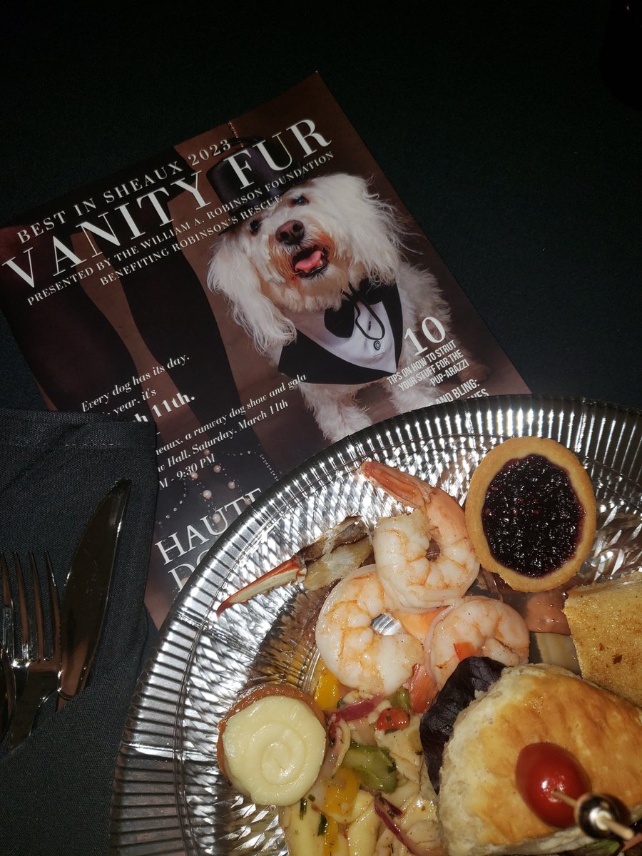 PrissB_TV's tweet photo. Last night I watched my coworker @BiskDTV slay her performance, walked an excited puppy who was eager to take the runway, chowed down on some grub, and made a few new friends! It was a wonderful night at #bestinsheaux2023 https://t.co/jP6hfaJZVW