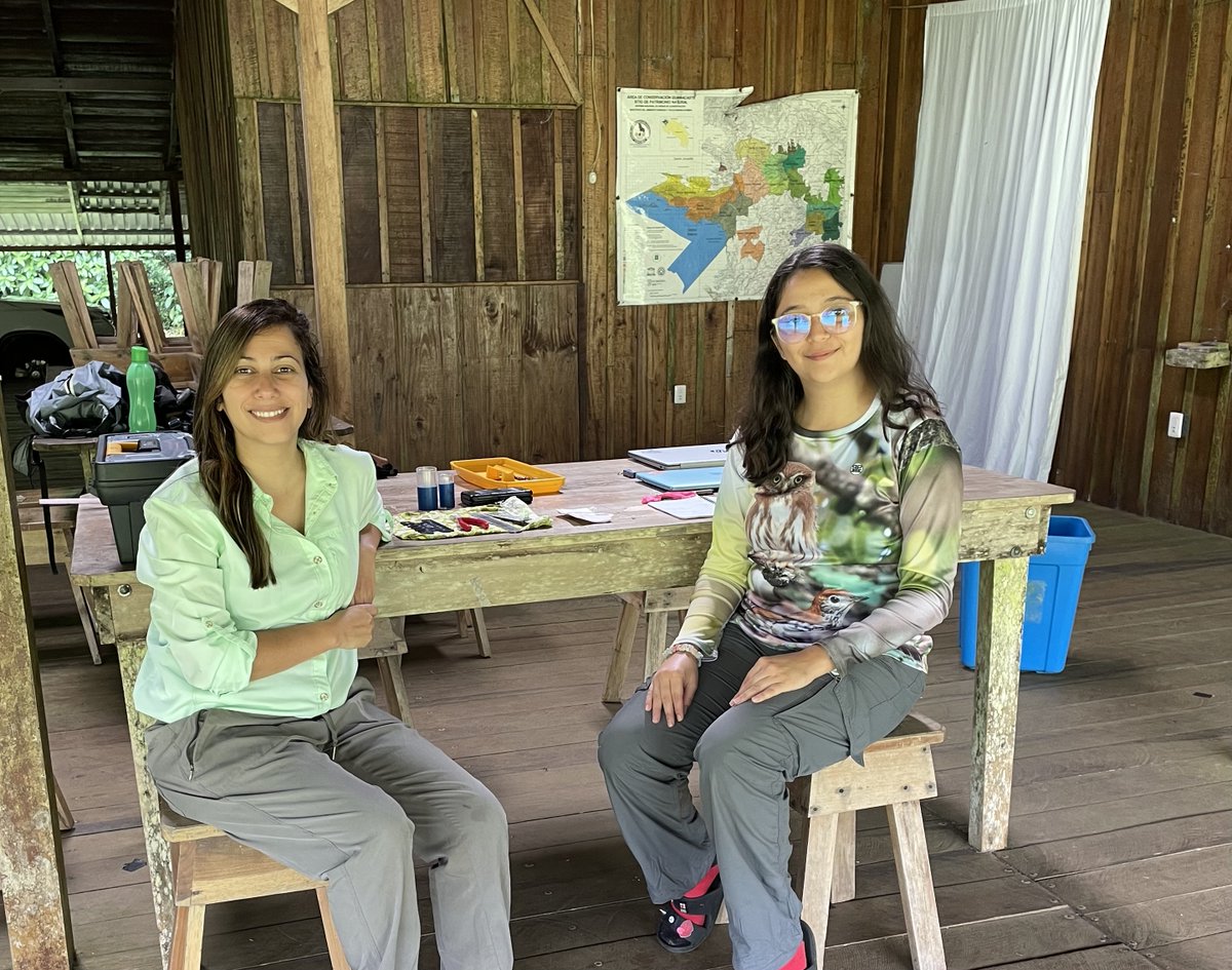Dr. Natalie V. Sánchez (@nati_sanchezu) on Twitter photo Today we affixed the first tag on a Wood Thrush (Hylocichla mustelina). This is the part of the long-term monitoring program BioAve <a href="/gdfcf_org/">Guanacaste Dry Forest Conservation Fund</a> at Pitilla Biological Station <a href="/ACGuanacaste/">ACG</a>. With me <a href="/IsabelVargasCR/">Isabel Vargas Valverde</a> BioAve team. Today we affixed the first tag on a Wood Thrush (Hylocichla mustelina). This is the part of the long-term monitoring program BioAve <a href="/gdfcf_org/">Guanacaste Dry Forest Conservation Fund</a> at Pitilla Biological Station <a href="/ACGuanacaste/">ACG</a>. With me <a href="/IsabelVargasCR/">Isabel Vargas Valverde</a> BioAve team.