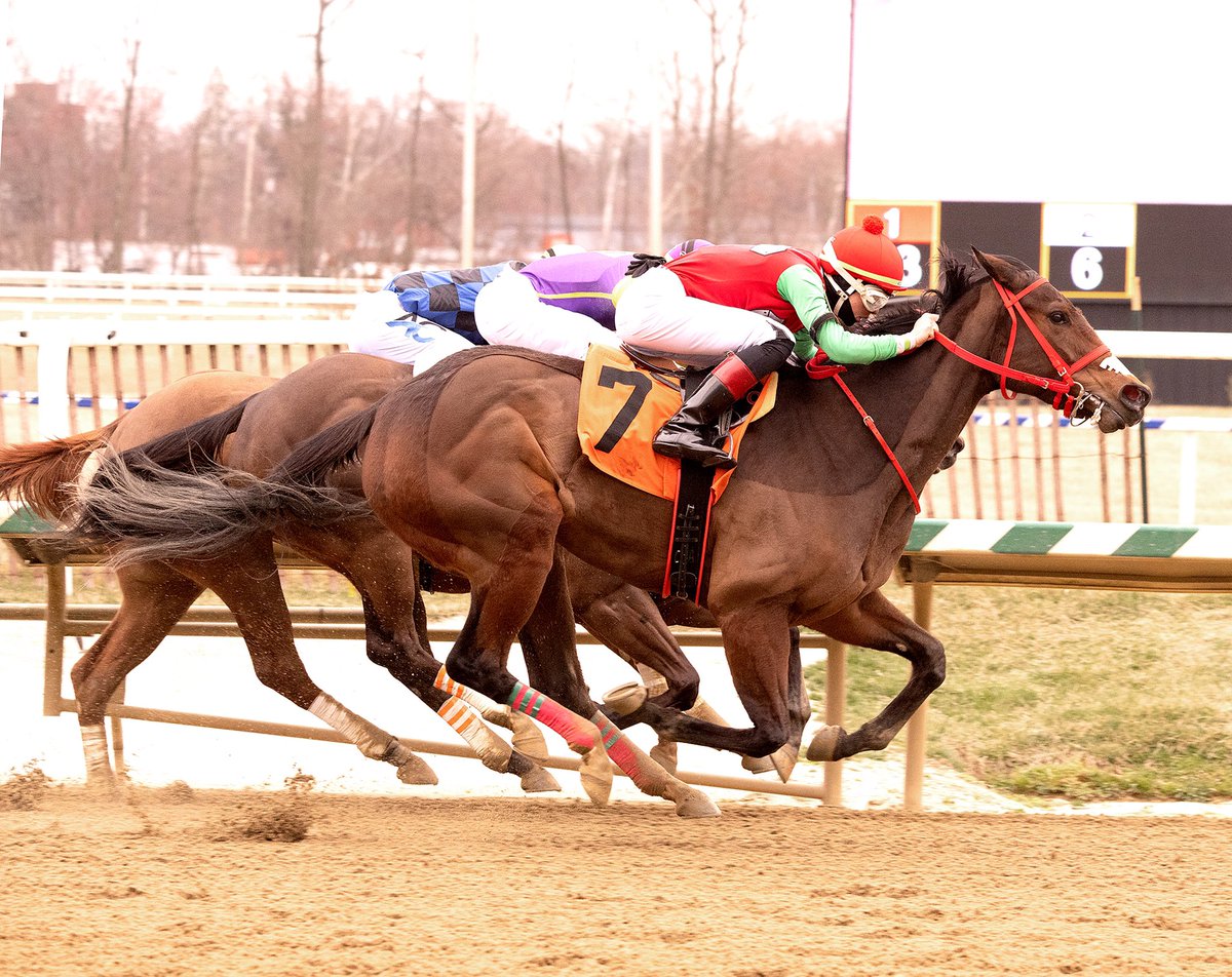 Maryland Horsemen tweet media