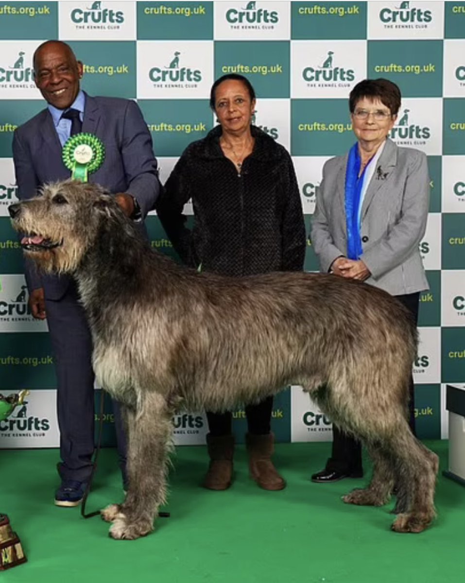 SarahEmerton79's tweet photo. #paris #crufts2023  Good luck 🤞🏽 https://t.co/ezBZtaAmso