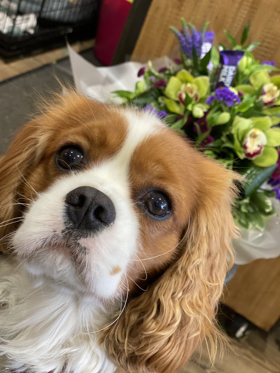 Emma Clarke tweet media