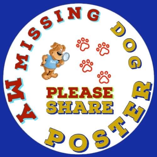 karensarah66's tweet photo. Daisy Daisy where are you lovely girl? Missing since 25/12/22 from Ballinakill, Co. Laois Ireland. #FindDaisyIreland 🙏🏻 #missingtoolong 💔 @rosiedoc666 @KarenFi51820768 @muddypawscrime @MissingPetsGB @gelert01 @TinaTowers3 @Number1essexgir @lisffc @bs2510 @AlanDaffern @SAMPAuk_ https://t.co/lJnhm7AR3R