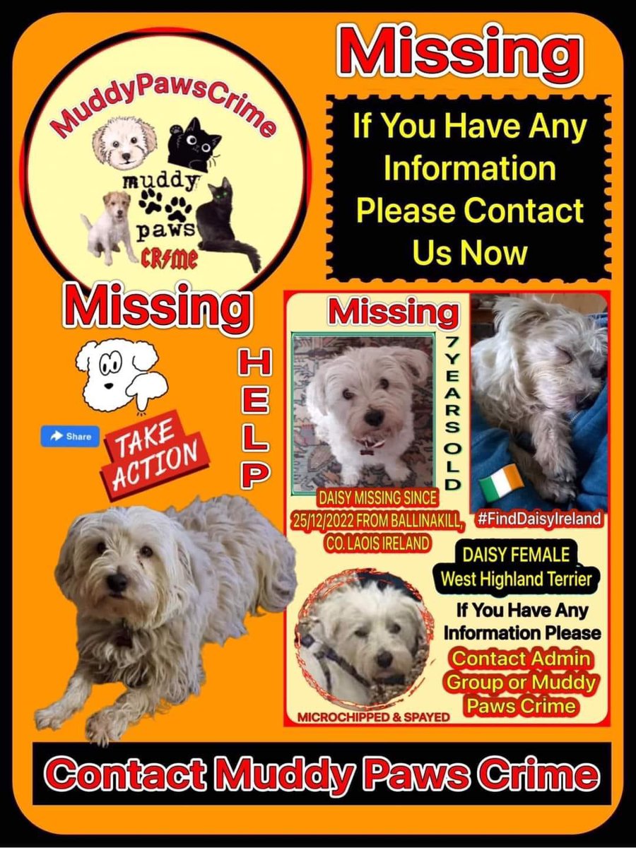 karensarah66's tweet photo. Daisy Daisy where are you lovely girl? Missing since 25/12/22 from Ballinakill, Co. Laois Ireland. #FindDaisyIreland 🙏🏻 #missingtoolong 💔 @rosiedoc666 @KarenFi51820768 @muddypawscrime @MissingPetsGB @gelert01 @TinaTowers3 @Number1essexgir @lisffc @bs2510 @AlanDaffern @SAMPAuk_ https://t.co/lJnhm7AR3R