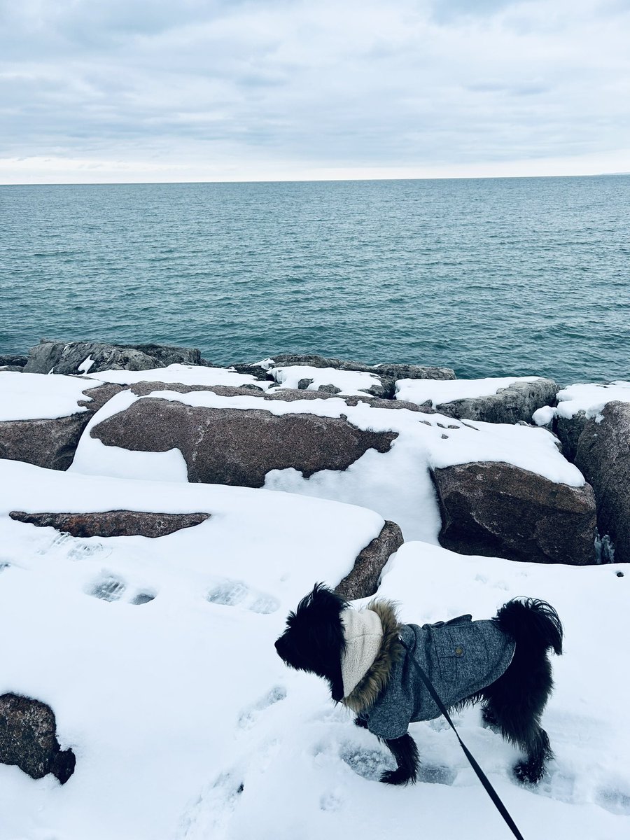 No matter the temp, I get outside every day. Living by the lake makes it even better! 🤍
#LoveWhereYouLive
#DowntownBurlington #BurlOn
#LakesOntario #Yorkiepoo