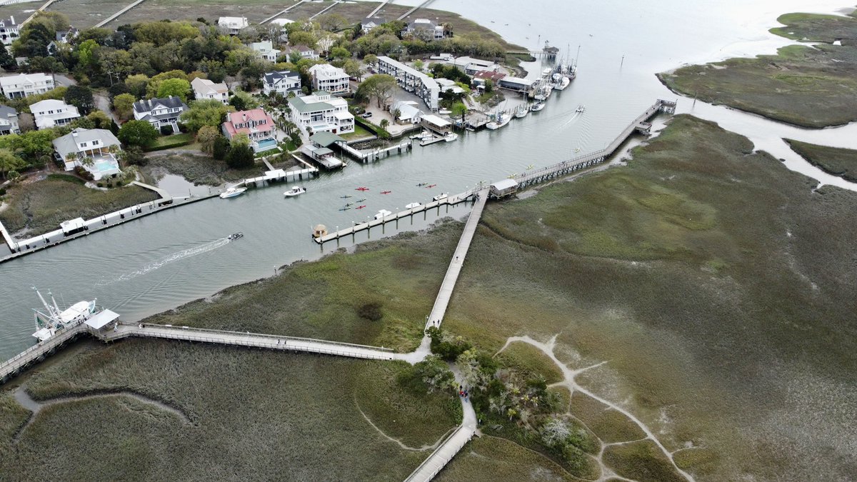 Nayeli K. Sanchez tweet media