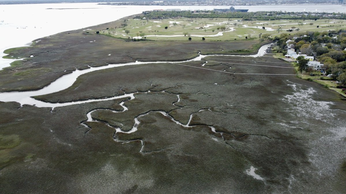 Nayeli K. Sanchez tweet media