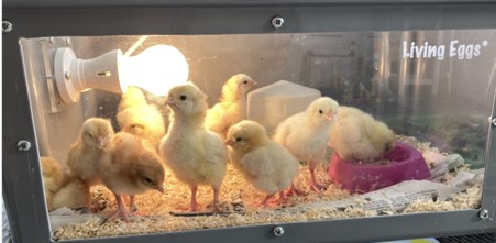 Violet Way Academy tweet media