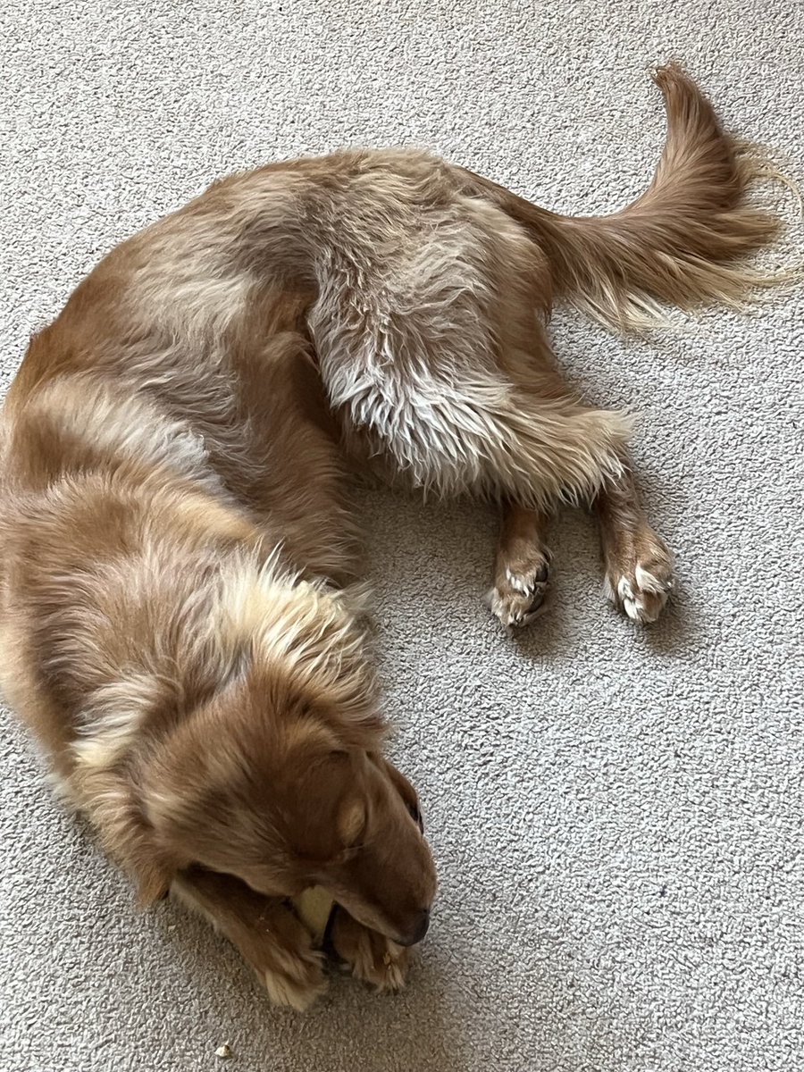 handmadebyj9's tweet photo. #Dublin to win from Monty https://t.co/udFXJgZJTK
