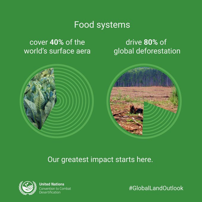 UN Biodiversity (@unbiodiversity) on Twitter photo There's an urgent need to scale up action to reduce food loss & waste. #Foodwaste reduction brings multi-faceted wins: it reduces pressure on land, improves #foodsecurity + helps address #climatechange & #biodiversity loss.
♻️bit.ly/GlobalLandOutl…
#SDGs
Via <a href="/UNCCD/">UN Land and Drought</a> There's an urgent need to scale up action to reduce food loss & waste. #Foodwaste reduction brings multi-faceted wins: it reduces pressure on land, improves #foodsecurity + helps address #climatechange & #biodiversity loss.
♻️bit.ly/GlobalLandOutl…
#SDGs
Via <a href="/UNCCD/">UN Land and Drought</a>