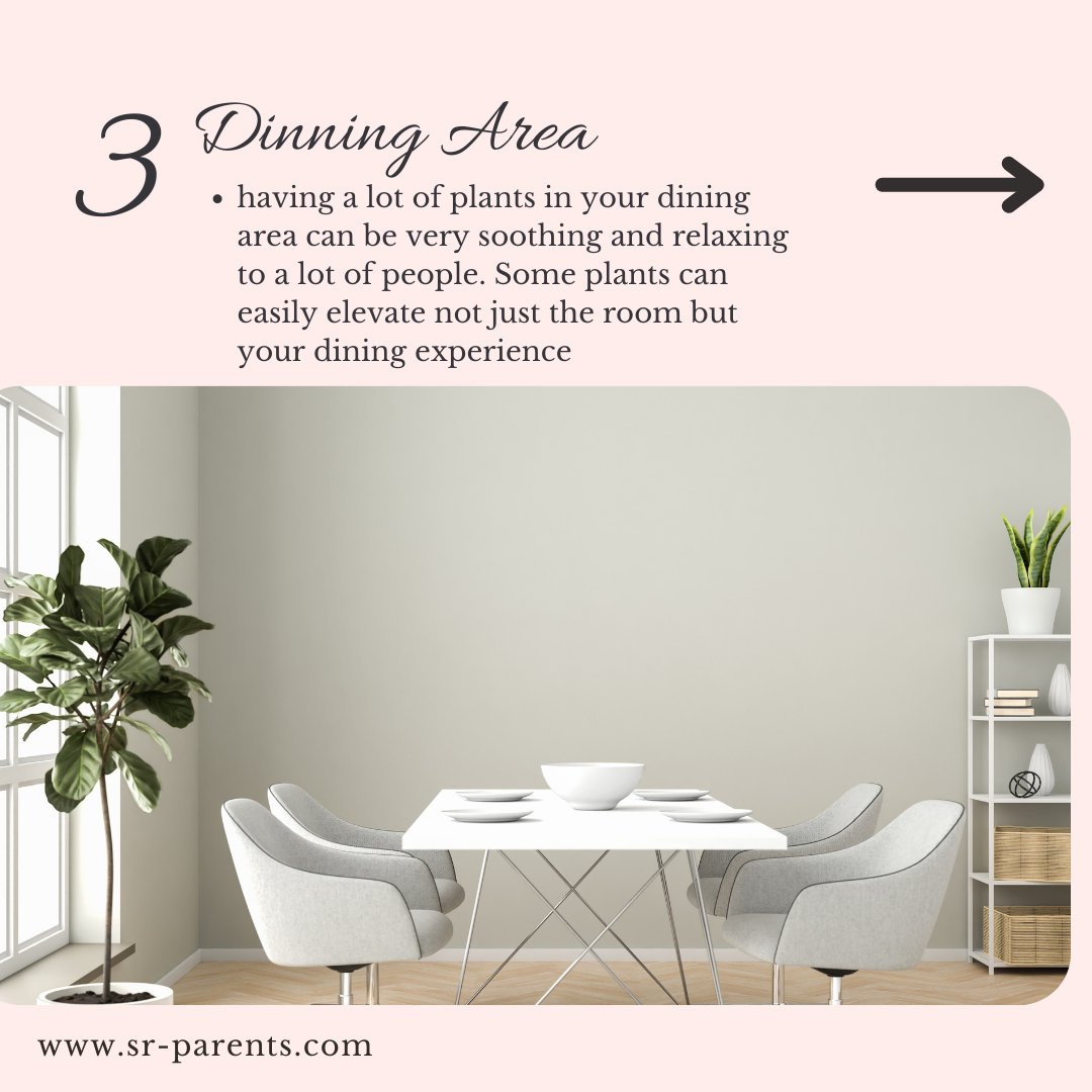 senior_parents's tweet photo. Indoor gardening is one of the best hobbies our elderly parents can try and its location matters. 😉
Here are the ideal locations we highly suggest https://t.co/9rLvE62D0H
#DailyCare #ElderlyHelp #Health #Senior #elderly #LoveforSeniorParents https://t.co/iNGparIrVa