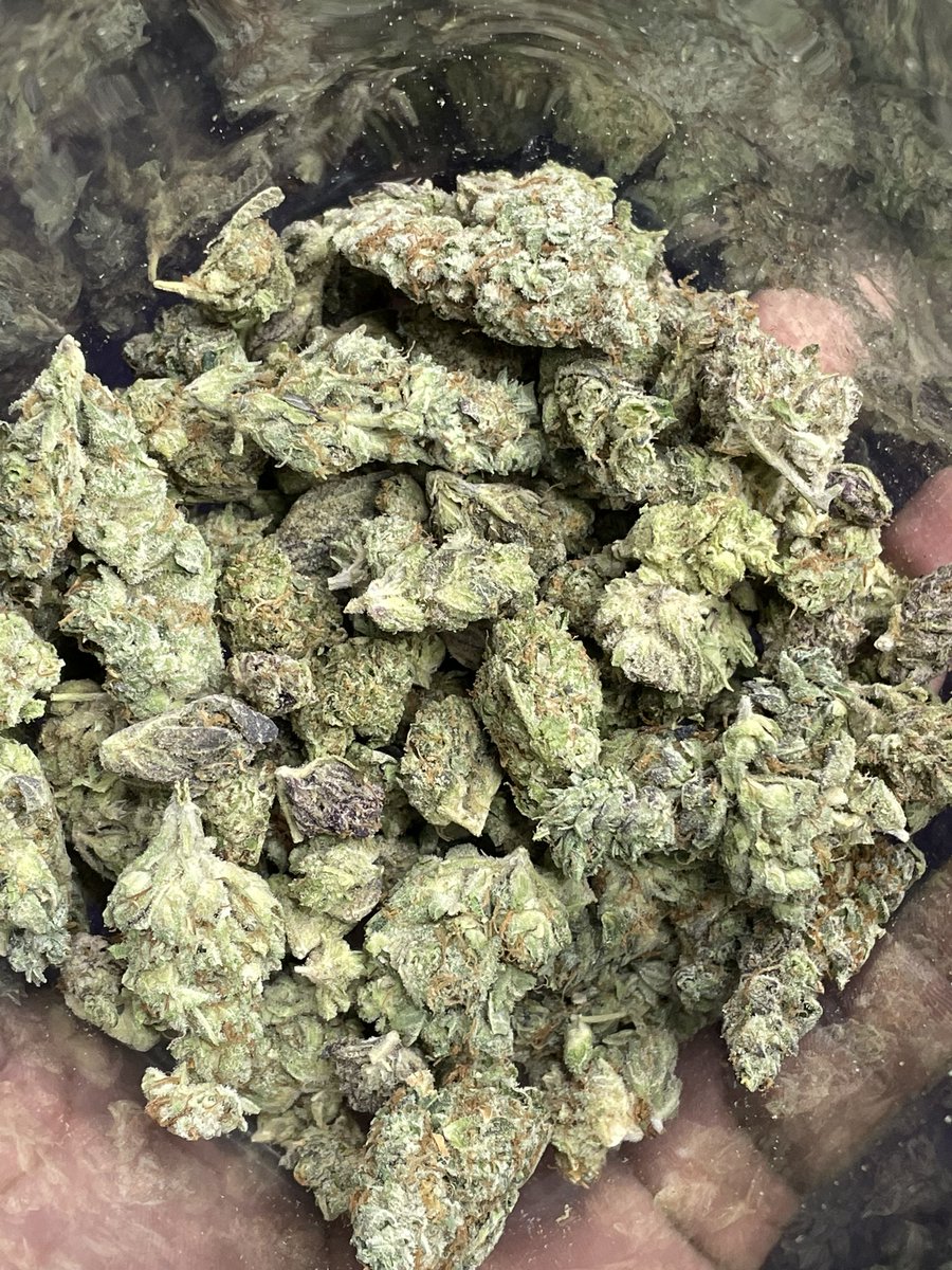HoustonPlugGas's tweet image. Got mad flavas in half's $50-$60 #houstonplug #Houstonmeets #springplug #htx #houstonmeetup #houstongas #htxplug #htxgas #cypressplug #conroeplug #houstonfreaks #nfsw