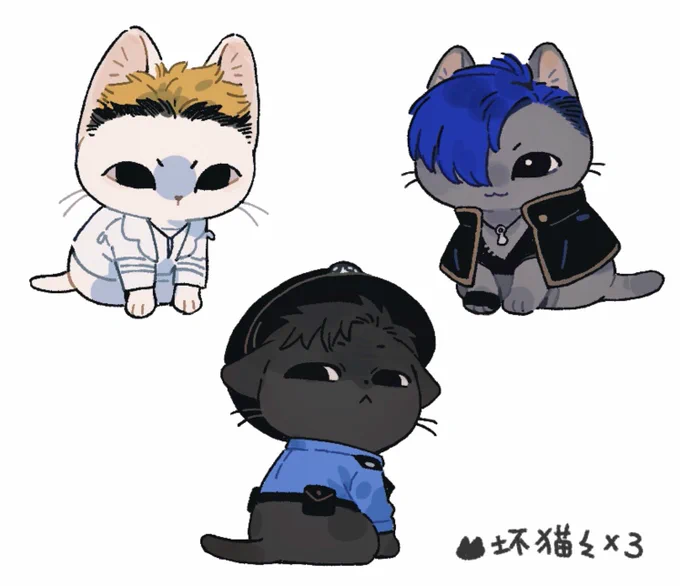 猫猫 