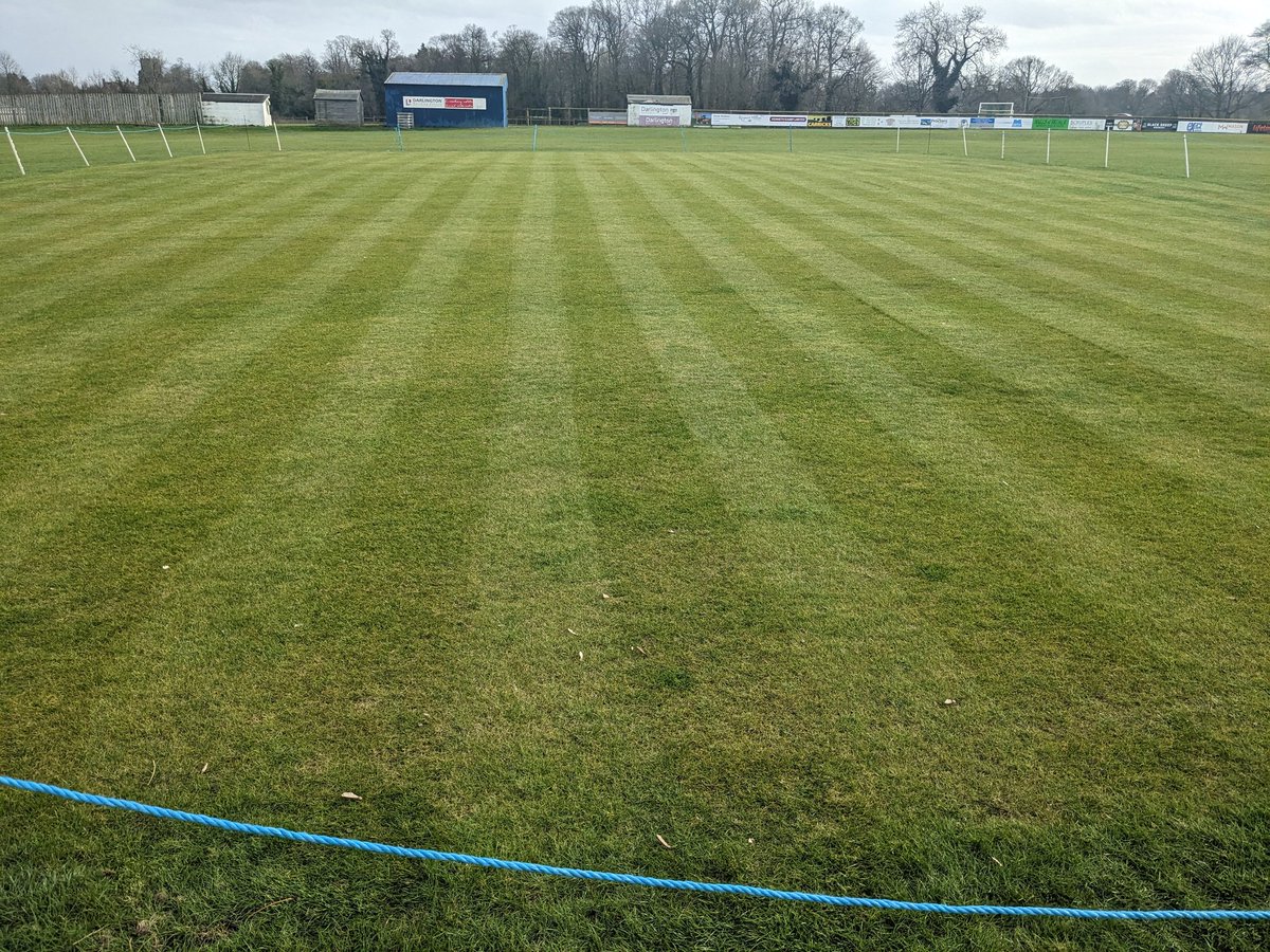 Bedale Cricket Club tweet media