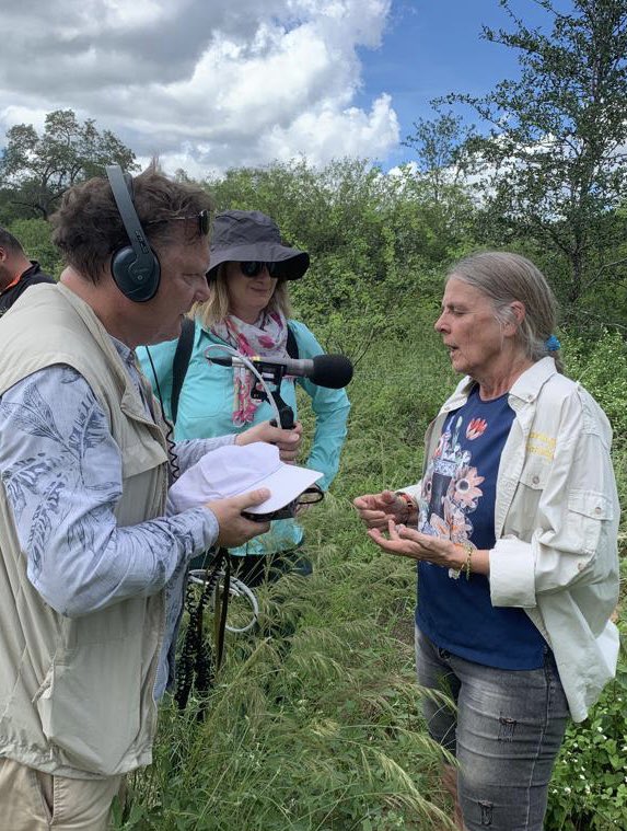 elnacionalpy's tweet photo. SALVEMOS EL PARQUE | 🇵🇾

🔹La BBC 🇬🇧 envió un equipo para interiorzarse de la riqueza del Parque Nacional Médanos del Chaco y de la lucha para salvarlo.

🔹Si no se trata el proyecto y se lo rechaza dentro de 3 semanas, quedaría aprobado automáticamente poniéndolo en riesgo. https://t.co/64KgJInq18