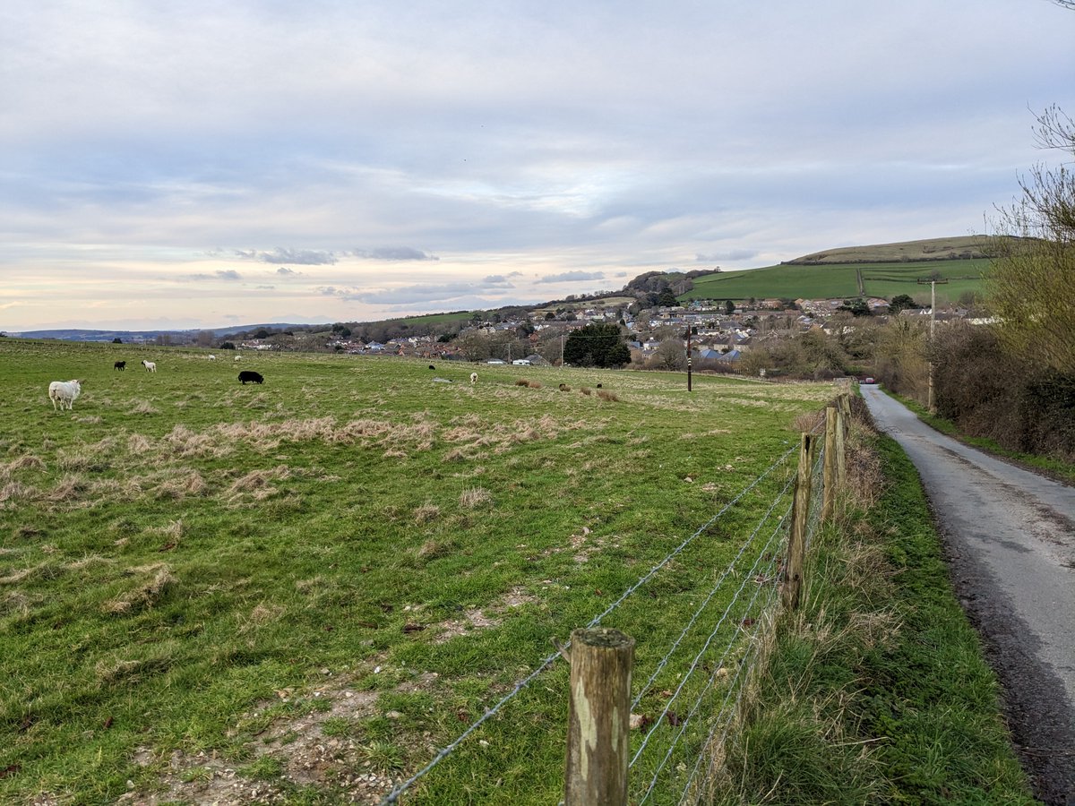 shanklinholiday's tweet photo. Late afternoon skies over Appuldurcombe and Wroxall - with added sheep! 🐑
#appuldurcombe #wroxall #isleofwight #isleofwightphotography #countryside #sheep #farmland #fields #nature #ukwalking #ukrunning #runningpics #walkingholiday #footpaths #ukbreaks https://t.co/UdsL8fx5lp