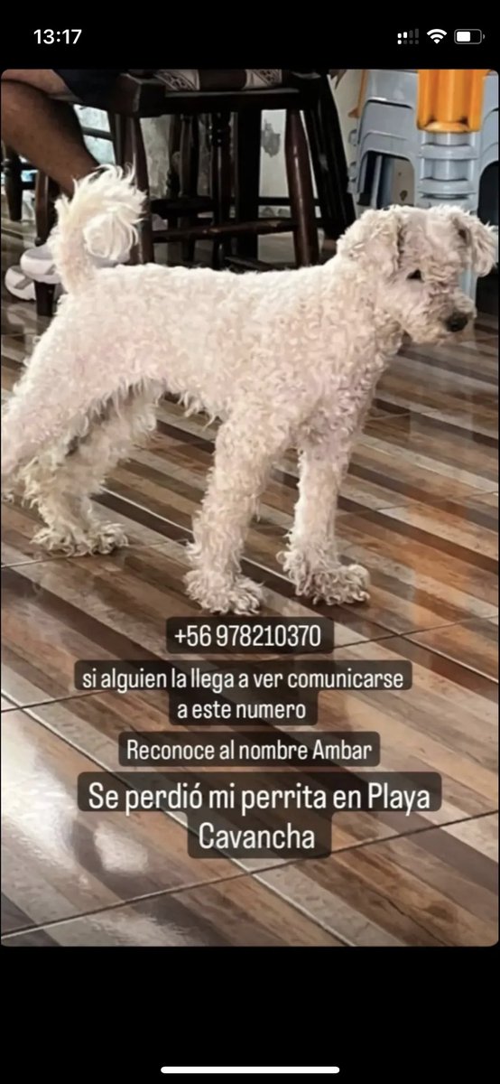 yare_yang_'s tweet photo. #Iquique https://t.co/iLOUCd4VL3
