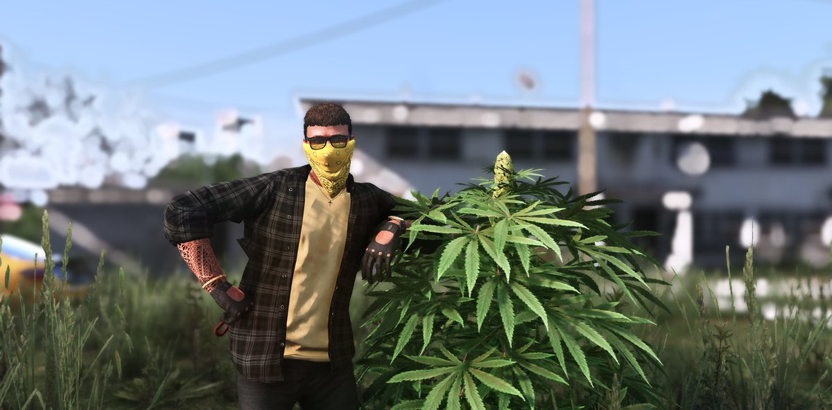 Reckless RP tweet media