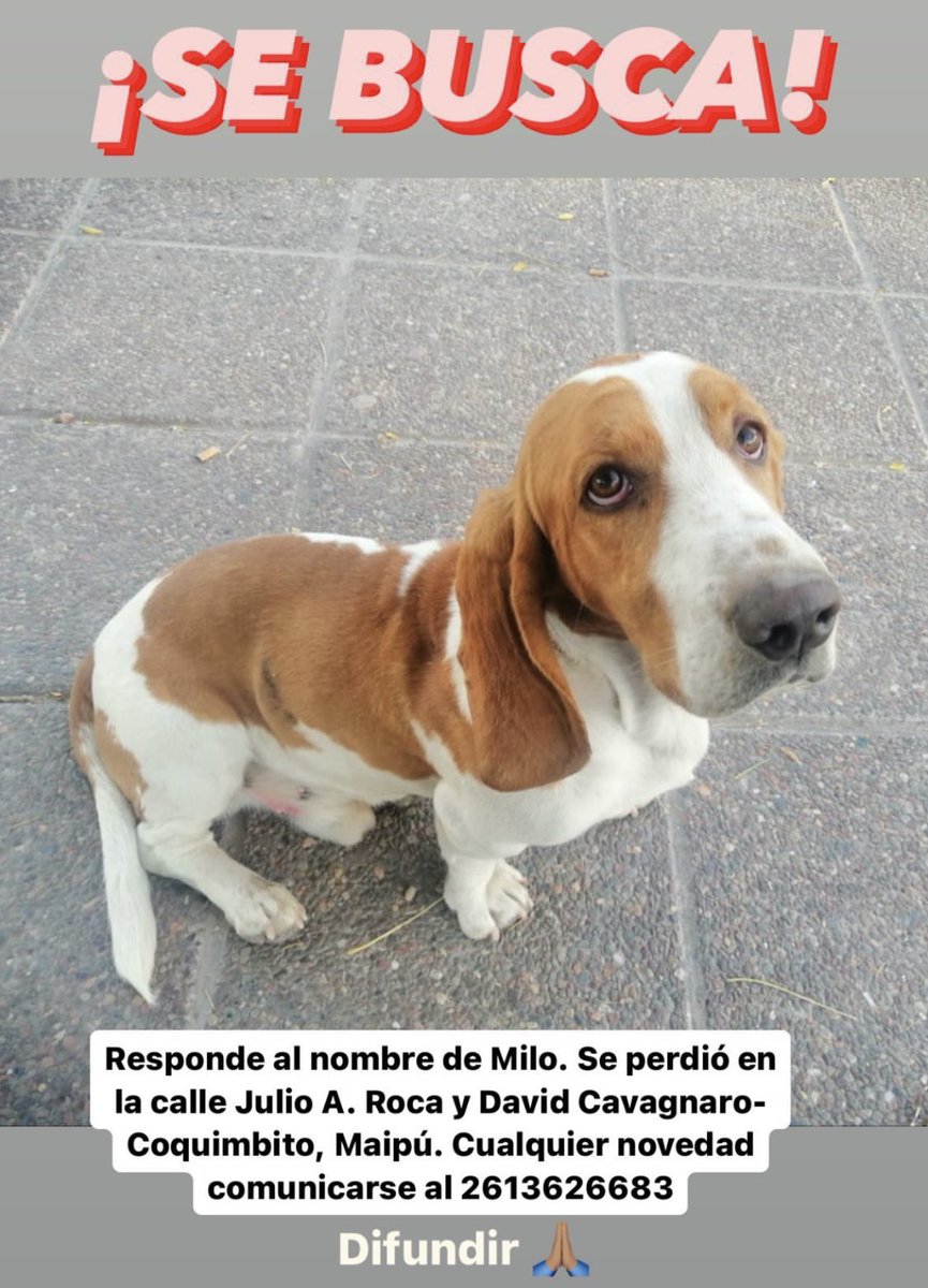⚠️ MAIPÚ, MENDOZA ⚠️