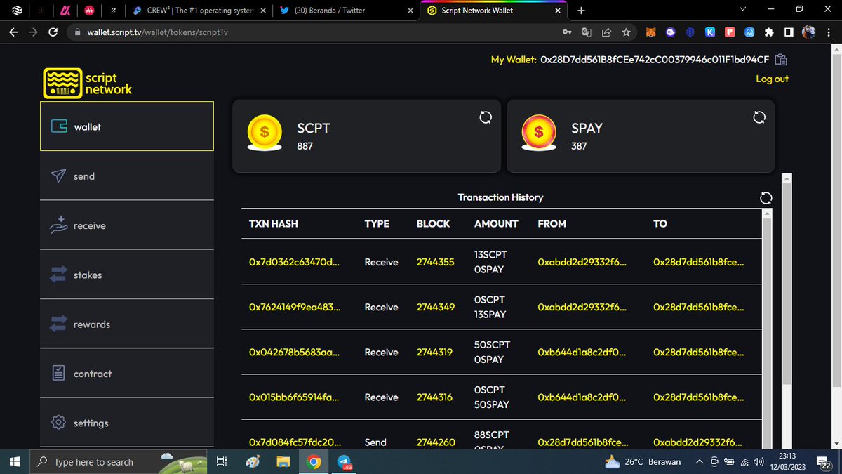 0xrynn's tweet image. scriptnetwork #BetaTestnet #scriptnetworkpresale