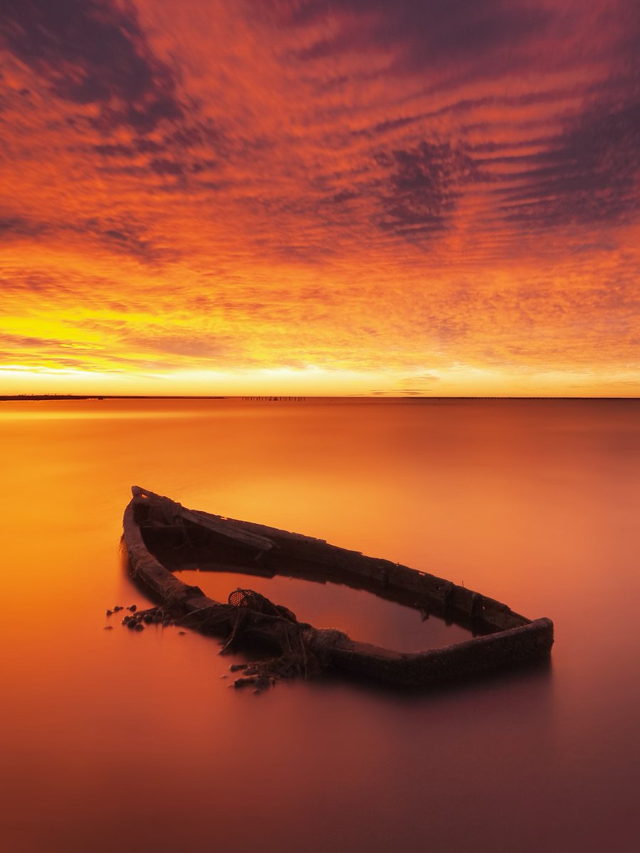 Albada d'avui a la badia dels Alfacs. 
<a href="/catexperience/">Catalunya Experience</a> <a href="/terresebretur/">Terres de l'Ebre</a> <a href="/visitcatalonia/">Visit Catalonia</a> <a href="/TurismeLaRapita/">Turisme la Ràpita</a> <a href="/SocEcoturista/">Ecoturisme Catalunya 💙</a> <a href="/pde/">Defensa de l'Ebre</a>