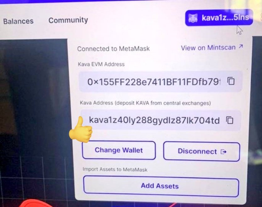 MarbleOfWeb3's tweet photo. - How to bridge assets to Kava EVM
• Search for Kava on https://t.co/iFRoVxf1oZ
• Connect MetaMask, add Kava EVM
• Visit https://t.co/0v6RaxQmLJ &amp; connect your mm
• Copy Kava Address (START WITH kava)
• Buy kava from Cex &amp; send to your copied address
https://t.co/pmHsIX8wj7 https://t.co/FgmVtpPgxw