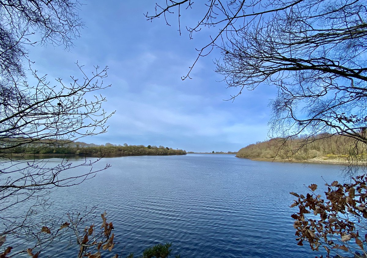 theemmadilemma's tweet photo. 12.5 Mile Walk with @Asmamatadar 🥾🥾☀️. Some lunch Al Fresco at BOXCO Forest too 🍽️. 
.
.
(#anglezarke #whitecoppice #brinscall #lancashirewalks #walking #sundaywalk #longwalk #freshair #nature #sundaywalk #lunchalfresco) https://t.co/ColXrzFeJj