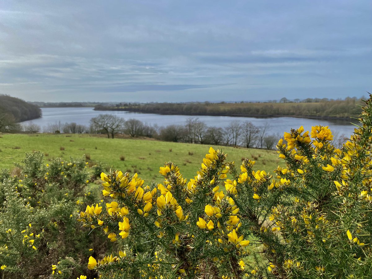 theemmadilemma's tweet photo. 12.5 Mile Walk with @Asmamatadar 🥾🥾☀️. Some lunch Al Fresco at BOXCO Forest too 🍽️. 
.
.
(#anglezarke #whitecoppice #brinscall #lancashirewalks #walking #sundaywalk #longwalk #freshair #nature #sundaywalk #lunchalfresco) https://t.co/ColXrzFeJj