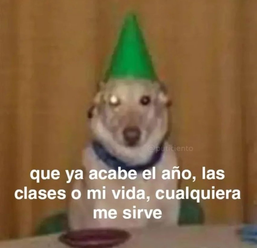 libotomia' (lesVIana encerrada) (@libokkm_) on Twitter photo 