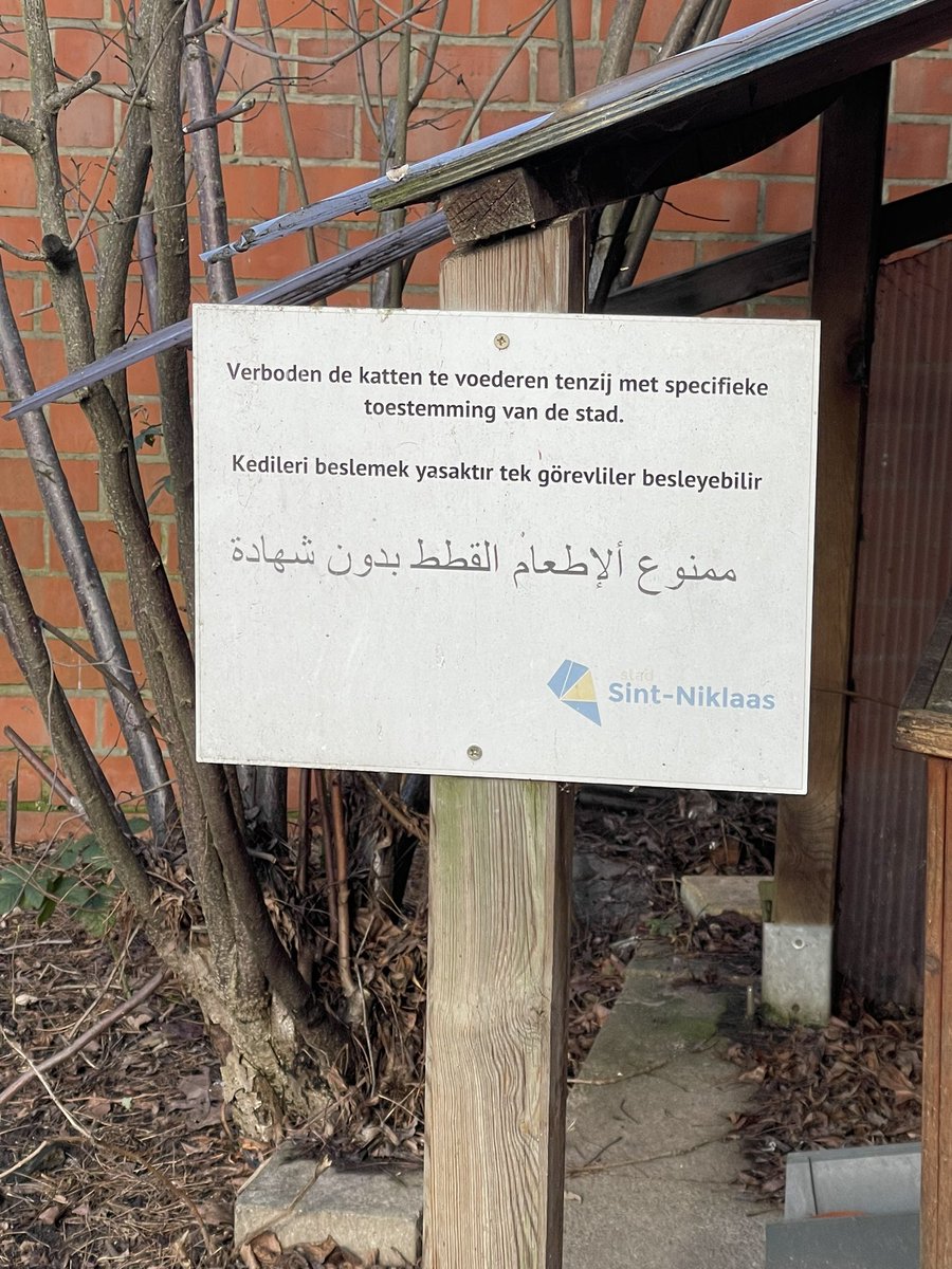 🅹🅸🅶🆂🅰🆆 tweet media