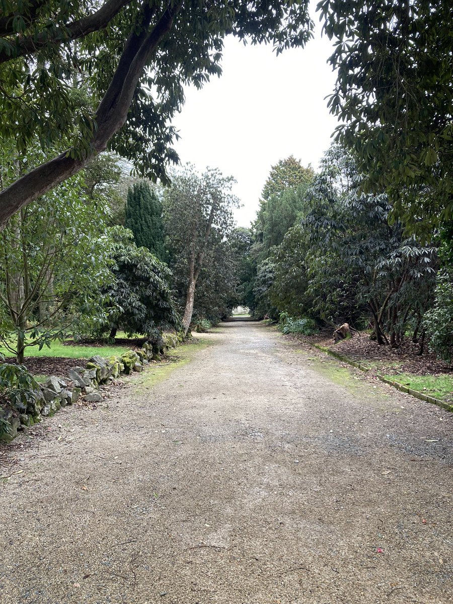 scrabbagh's tweet photo. Lovely walk https://t.co/Lr9MDqtWy4