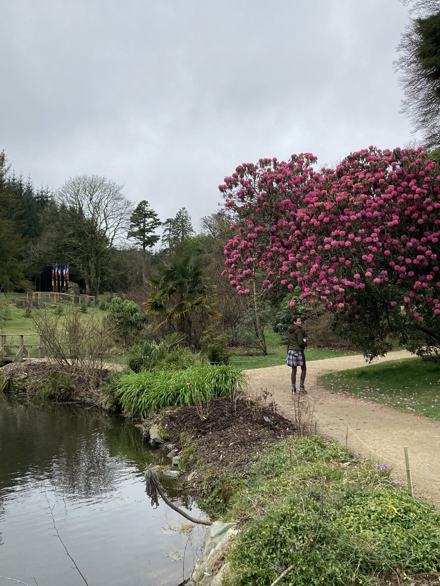 scrabbagh's tweet photo. Lovely walk https://t.co/Lr9MDqtWy4