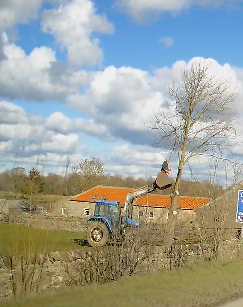 ForesterWill's tweet photo. Why does agriculture have the worst rate for fatal injury? Words fail me.............. #safety #agriculture #chainsaw #hownottodoit https://t.co/VwyGTBFdWu