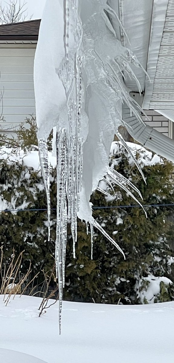 Piroska_Bata's tweet photo. Grand Rising ๐ซ Icicles in movement as they are slowly melting and sliding off the roof of the sunroom. #winterweather #snow #ice #icicles #springaroundthecorner #meltingice #meltingsnow https://t.co/tJFuDiV0b2