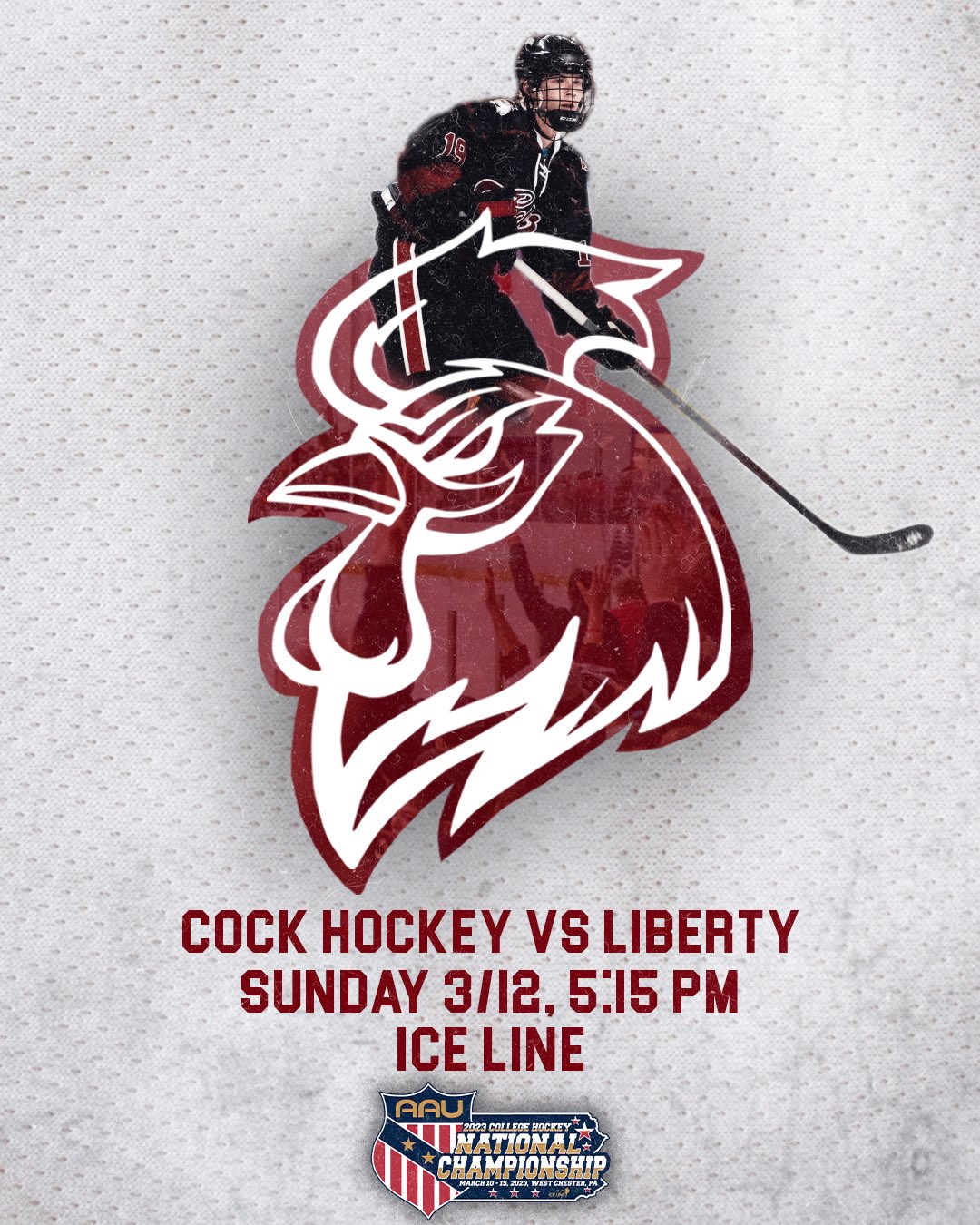 Gamecock Hockey (CockHockey) / Twitter