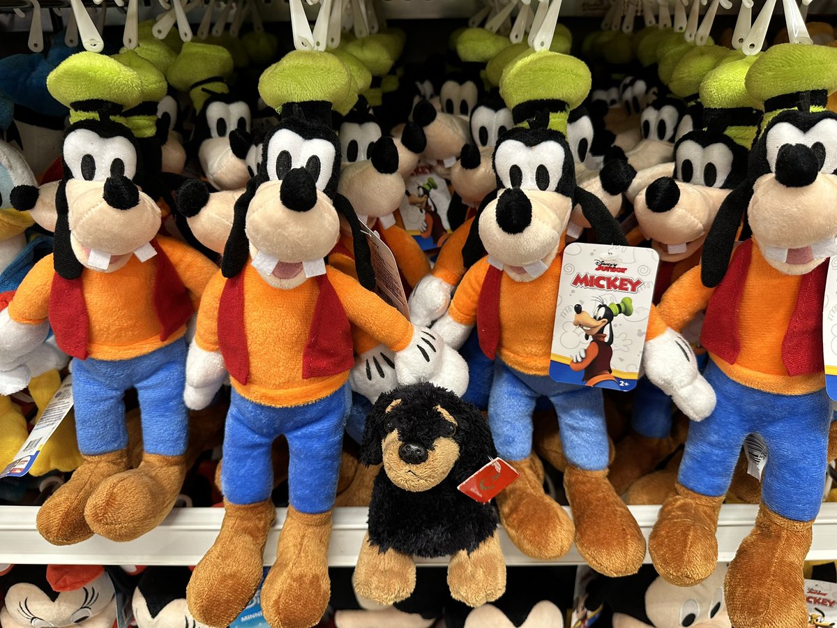 Midgieboy's tweet image. In a world full of Goofys, be a Midgieboy.