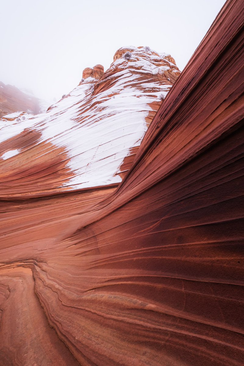 PresentPhotos's tweet photo. An amazing place with rare conditions 😍 https://t.co/5zU7aIUPhp