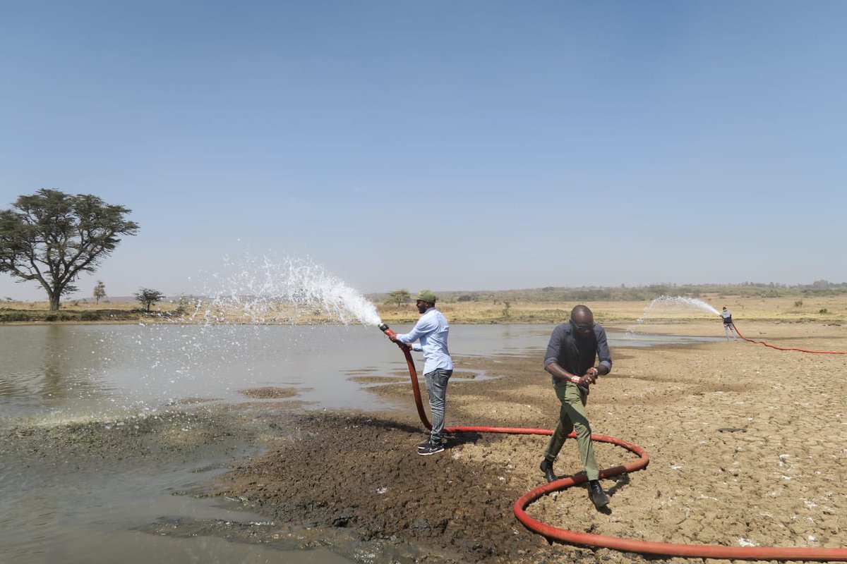 .@kot @unep @ConservOptimism PLS HELP SAVE WILDLIFE IN NAIROBI PARK Donations to FRIENDS OF NAIROBI PARK for water @ 65$, & hay @ 35$ for 10. Volunteers r on site helping. 
Mpesa Paybill: 891300
Account: 65486

Or donate at WildlifeDirect.org   #DroughtEmergency.  Pls share