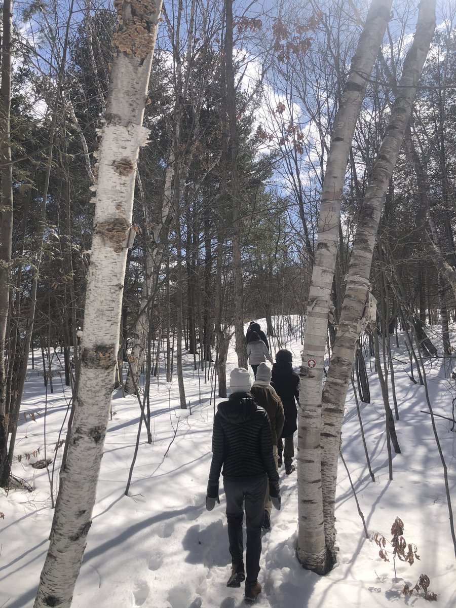 QE3 Research (@qe3_research) on Twitter photo An excellent lab retreat this weekend <a href="/ElbowLakeEEC/">Elbow Lake EEC</a> filled with writing, hiking and fun! 🌲✏️💚 #QE3research An excellent lab retreat this weekend <a href="/ElbowLakeEEC/">Elbow Lake EEC</a> filled with writing, hiking and fun! 🌲✏️💚 #QE3research