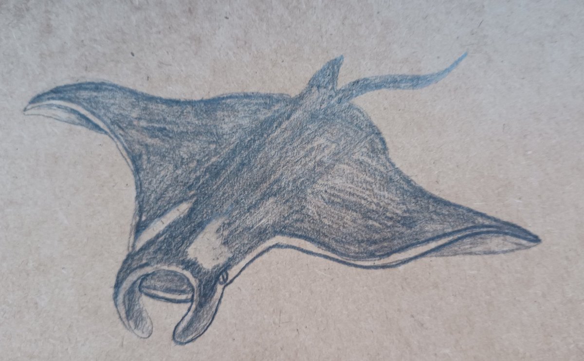 Stephanie Müller tweet media