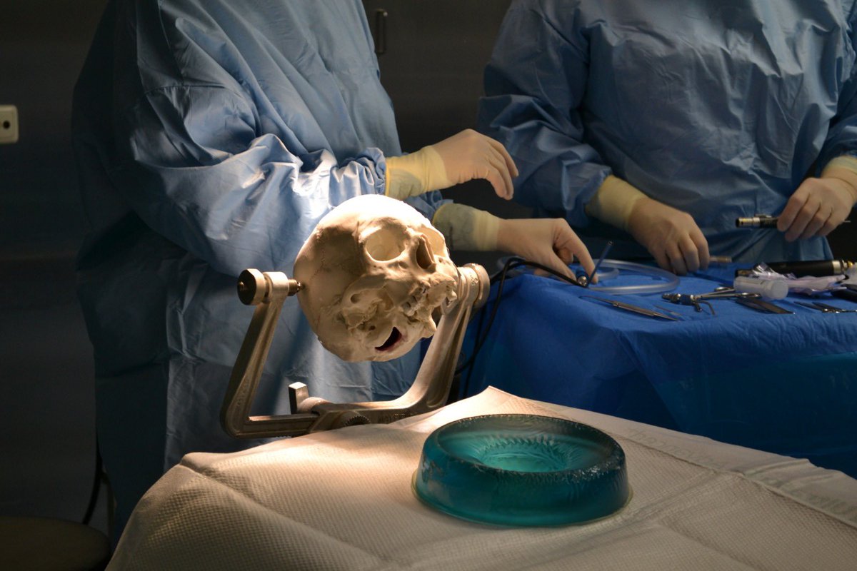 IGL_Berlin's tweet photo. Collaborating with industry leaders to advance surgical innovation! Our 3D printed skull is being used to test the capabilities of a cutting-edge exoscope from a leading company. Proud to be a part of this exciting research partnership. https://t.co/l7jaaKBI4S